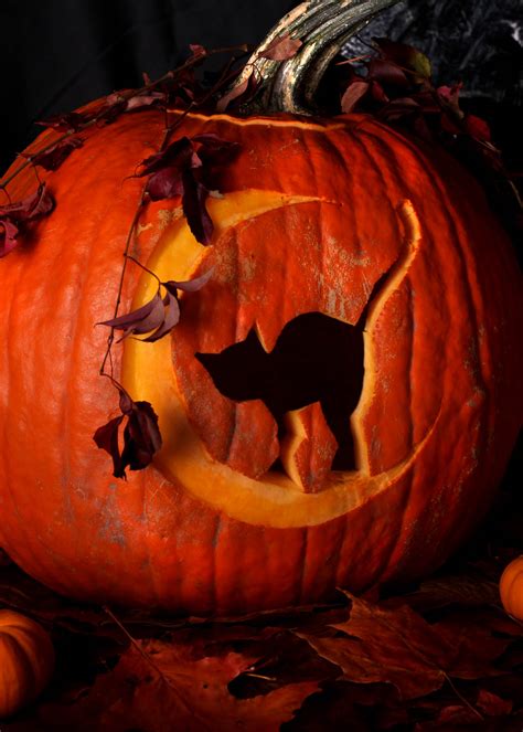 10 Cat Pumpkin Carving Ideas