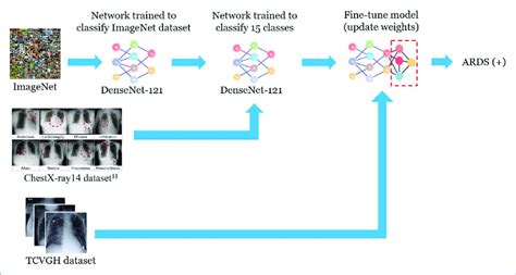 Workflow Of The Convolutional Neural Network Cnn Model With Transfer Download Scientific