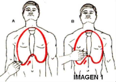 Primeros Auxilios Teb Reanimacion Cardiopulmonar