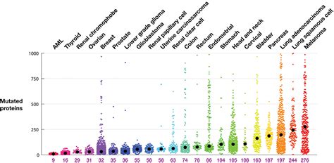 Frontiers Mutation Derived Neoantigens For Cancer Immunotherapy