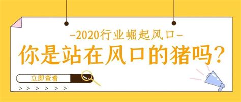 2020年，如何做一头站在风口上的猪 知乎