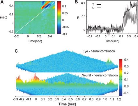correlations  fixational eye movements  neural activity
