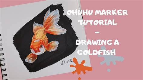 OHUHU ALKOHOL MARKER TUTORIAL DRAWING A GOLDFISH YouTube