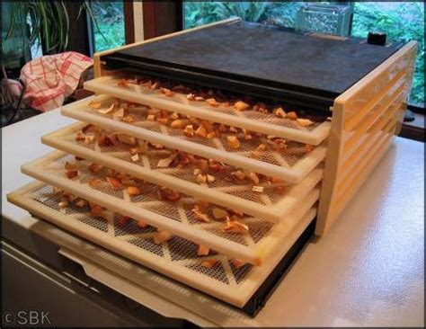 Diy Solar Powered Food Dehydrator Solar Energy Diy Dehydrator