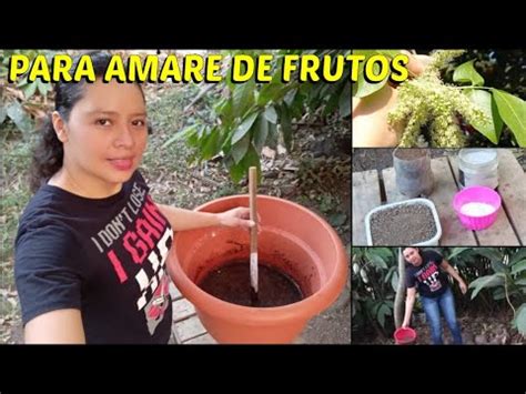 Potente Abono Radicular Casero Para Tener Muchos Frutos Youtube