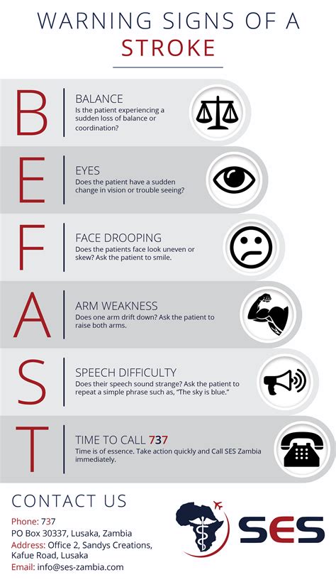 Warning Signs Of A Stroke Rinfographics