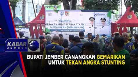 BUPATI JEMBER CANANGKAN GEMARIKAN UNTUK TEKAN ANGKA STUNTING KABAR