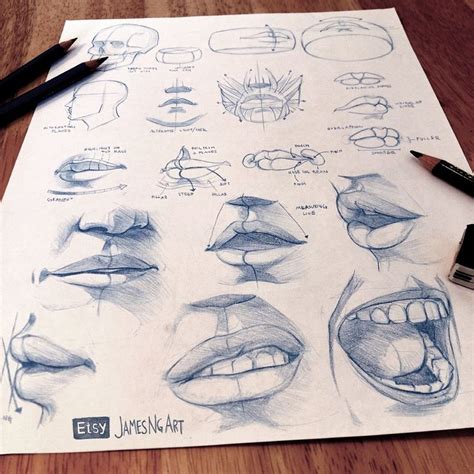 Lips Anatomy Sketches From Reference Jamesngart Sketch Anatomy