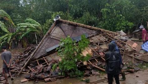 Hujan Deras Akibatkan Pohon Dan Tiang Listrik Tumbang Di Lebak 5 Rumah