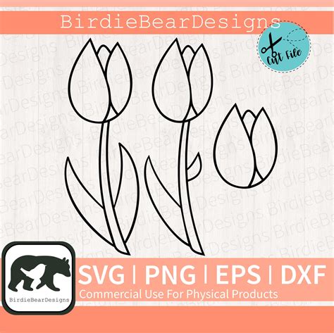 Tulpe Svg Blumen Umriss Svg Fr Hlingsblume Svg Bundle Tulpe Etsy