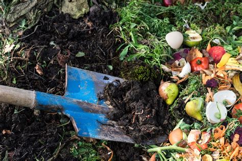 What Is Composting And How Does It Fit Into Solid Waste Disposal At