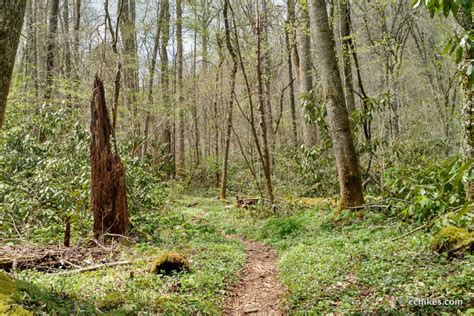 Visit Clingmans Dome On The Appalachian Trail