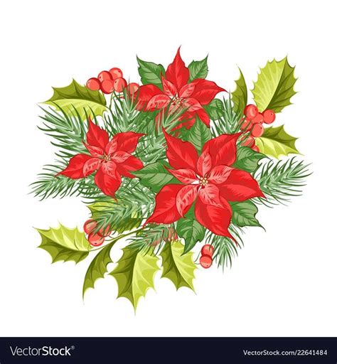 Composition Of Red Poinsettia Flower Isolated Over Vector Image