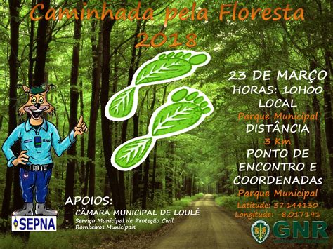 GNR Assinala Dia Da Floresta Caminhada