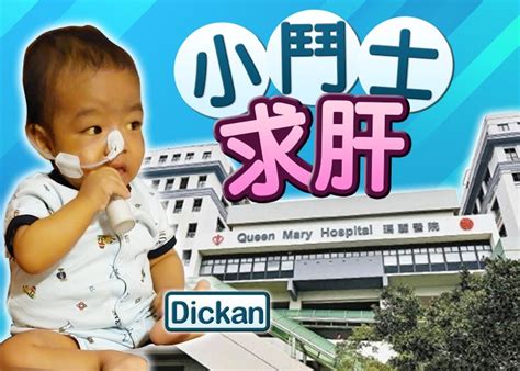 14個月大男嬰患膽管閉塞 情況惡化急須換肝｜即時新聞｜港澳｜oncc東網