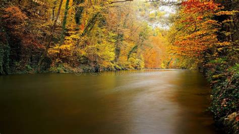 Autumn river stock photo. Image of morning, sunlight - 293908594