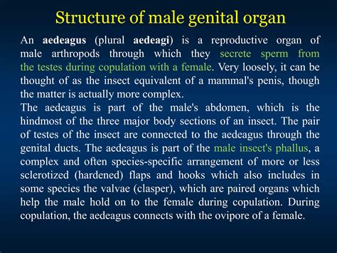 Lec 22 13 Structure And Functions Of Male And Female Reproductive