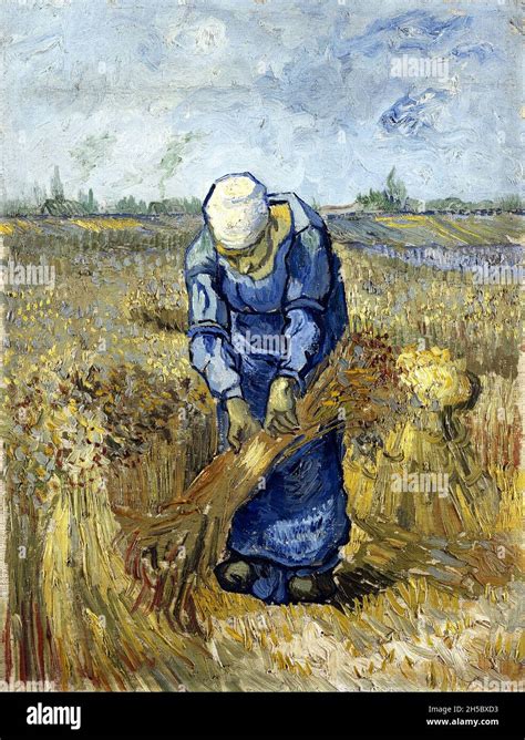 Peasant Woman Binding Sheaves After Millet By Vincent Van Gogh 1853