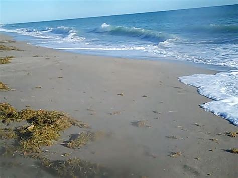 The Treasure Beaches Report Direct From Floridas Treasure Coast 12512 Report Silver Coins