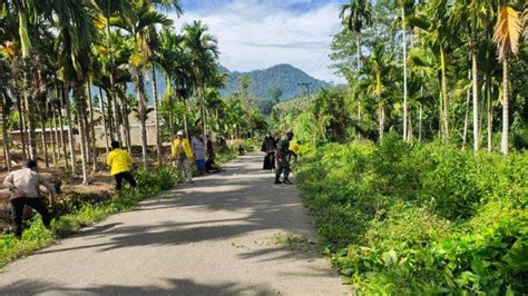 Babinsa Kluet Tengah Bersama Mahasiswa Dan Masyarakat Gotong Royong