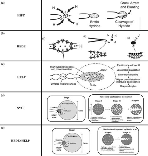 Schematic Diagrams Of He Mechanisms A Hipt Hydrogen Induced