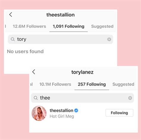 Megan Thee Stallion Unfollows Tory Lanez On Social Media After Reports ...