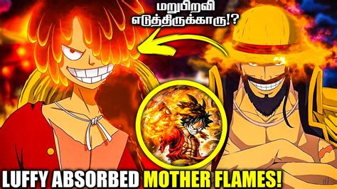 Luffy Absorbed Mother Flames Luffy Is The Reincarnation Of Joyboy