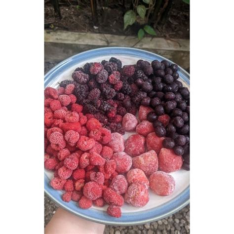 Jual Mix Berries Frozen Buahfrozen Buah Berry Frozen Mix Berry