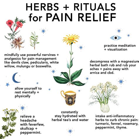 Natural Pain Relievers | herbs