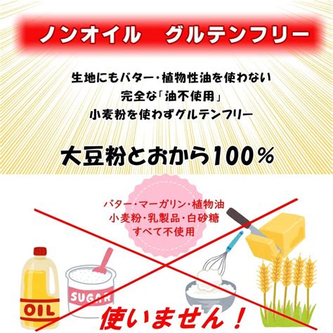 訳ありおからクッキー ノンオイル白砂糖不使用【ごぼうの揚げない低糖質おからかりんとう】240g無添加 全国送料無料 Karigiggこんな