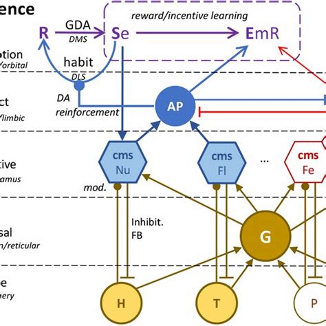 The Positive Valence System The Combined System Showing The