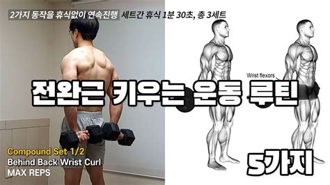 전완근 빠르게 키우는 덤벨운동 루틴 5가지 전완근운동 팔뚝운동 Best 5 Forearm Workout Routines