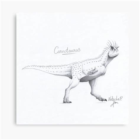 Illustration Pencil Drawing Carnotaurus Sp Dinosaur Mesozoic Canvas