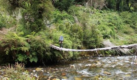 Hiking Buddies - Northern Chilean Patagonia : r/Patagonia