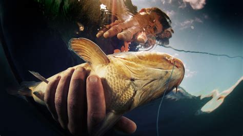 Hillbilly Handfishin Season 1 Where To Watch Every Episode Reelgood