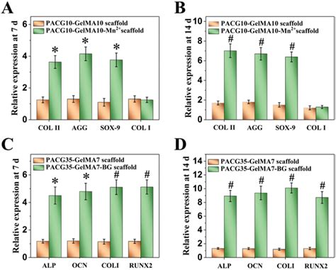 Gene Analysis For Chondrogenic Differentiation And Osteogenic Download Scientific Diagram