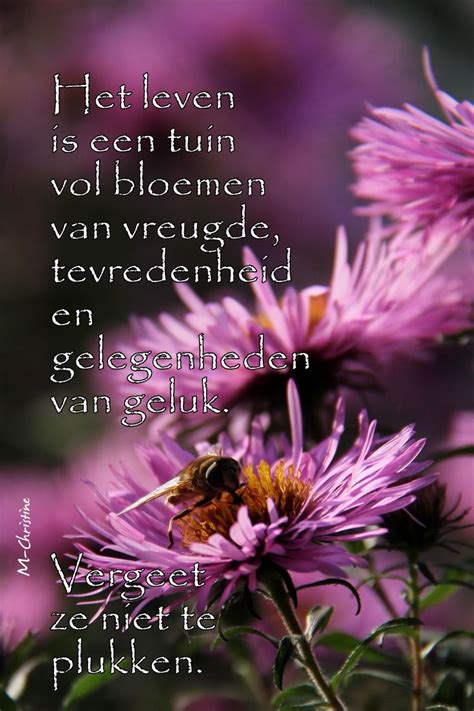 Het Leven Is Een Tuin Kleurrijke Bloemenfotografie