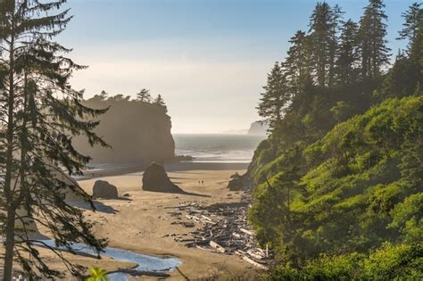 Parque Nacional Ol Mpico De Ruby Beach Washington Eua Foto Premium