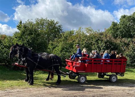 Grand Rapids Horse Drawn Hayrides Robinettes Apple Haus