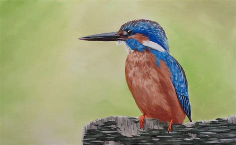 How To Paint A Kingfisher In Acrylic — Online Art Lessons