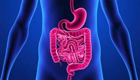 Experts Explain Leaky Gut Syndrome And Its Treatment