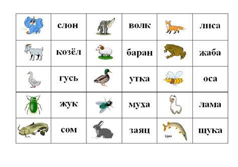 Дидактическая игра "Угадай животное". Область знаний: чтение. Тип ...