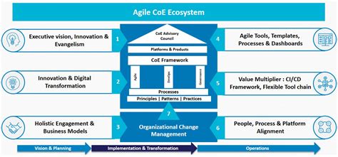 Center of Excellence Model Framework, Business Transformation