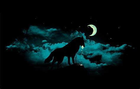 Dark Wolf Wallpapers - Top Free Dark Wolf Backgrounds - WallpaperAccess