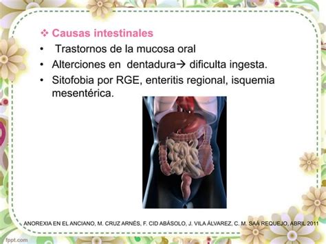 Anorexia E Hiporexia En El Adulto Mayor Ppt Descarga Gratuita