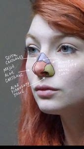 TAD Hentai Beastcrazyboy Profile Pinterest