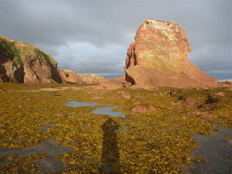 From Tyne To Tyne Low Tide At Pin Cod Richard West Geograph