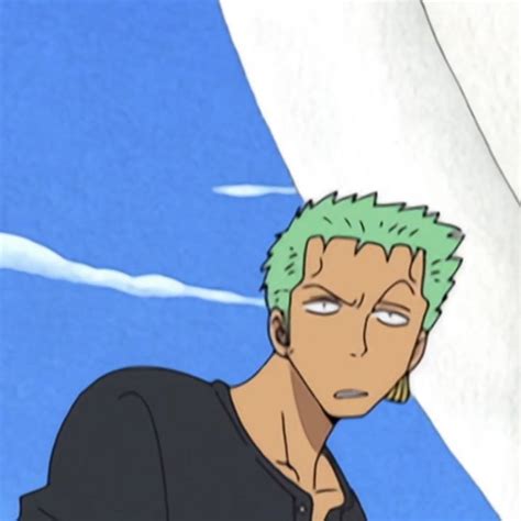 Pin By U2606 Nohra On One Piece Zoro Anime Faces Expressions One Piece Funny