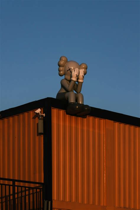Kaws Photos, Download The BEST Free Kaws Stock Photos & HD Images