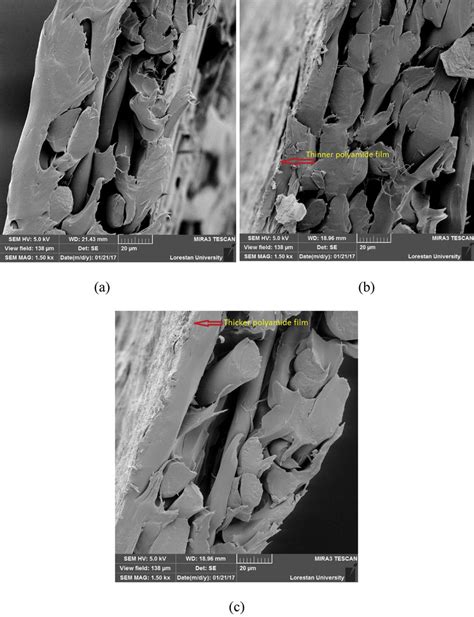 Cross Section SEM Images Of A Nonwoven B T 0 1 C T 0 15